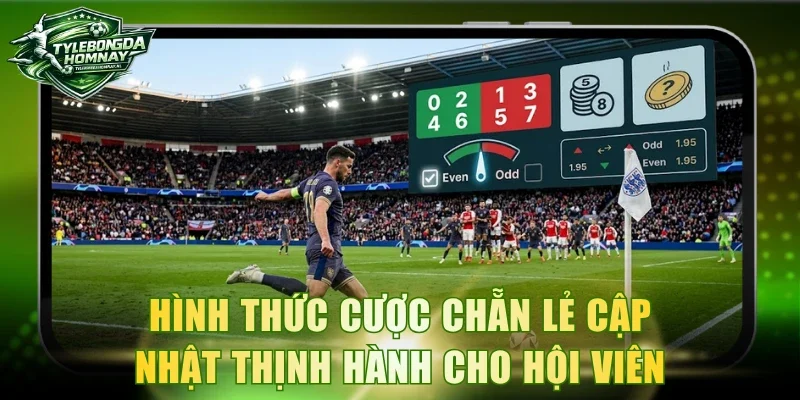Hình thức cược chẵn lẻ cập nhật thịnh hành cho hội viên