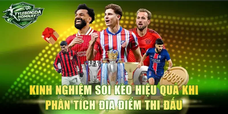Kinh Nghiệm Soi Kèo Cho Người Mới Bắt Đầu