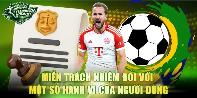 Miễn trách nhiệm đối với một số hành vi của người dùng