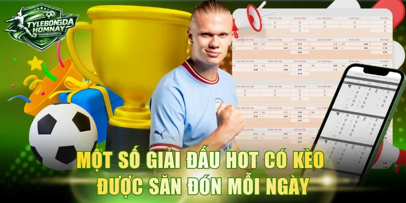 Một số giải đấu hot có kèo được săn đón mỗi ngày