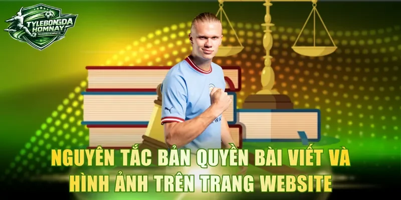 Nguyên tắc bản quyền bài viết và hình ảnh trên trang website