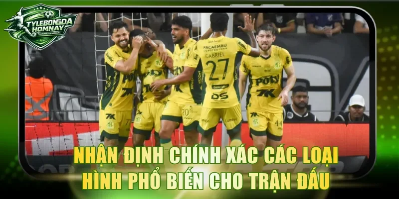 Nhận định chính xác các loại hình phổ biến cho trận đấu