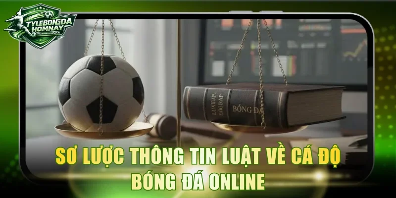 Sơ lược thông tin luật về cá độ bóng đá online