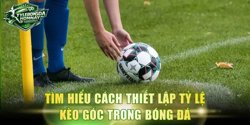 Tìm hiểu cách thiết lập tỷ lệ kèo góc trong bóng đá