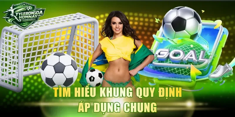 Tìm hiểu khung quy định áp dụng chung