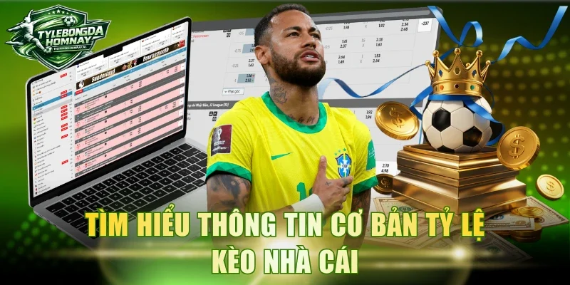 Tìm hiểu thông tin cơ bản tỷ lệ kèo nhà cái