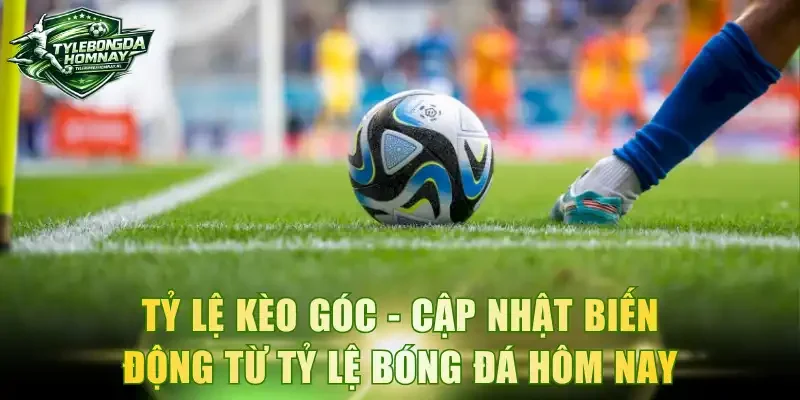 Tỷ lệ kèo góc